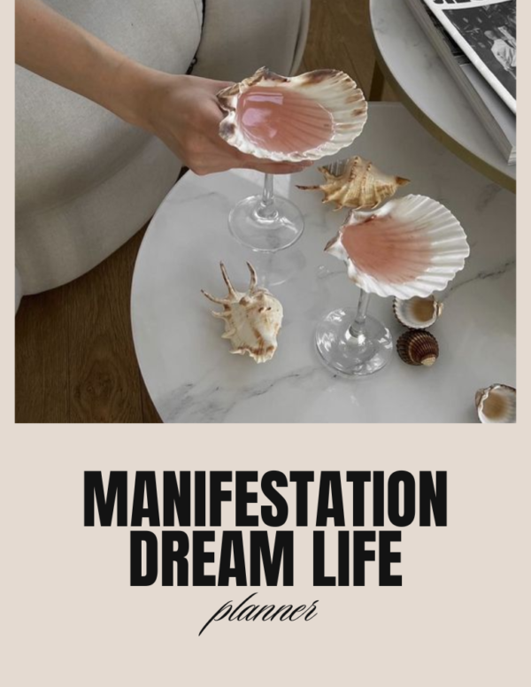 Manifestation Dream Life Journal